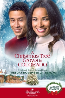 Watch free A Christmas Tree Grows in Colorado movies online