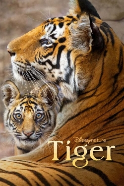 Watch free Tiger movies online