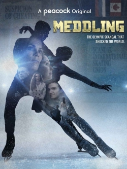 Watch free Meddling movies online