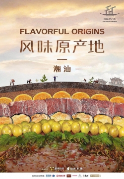 Watch free Flavorful Origins movies online