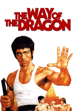 Watch free The Way of the Dragon movies online