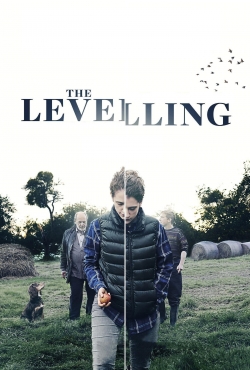 Watch free The Levelling movies online