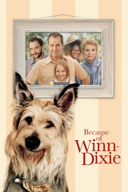 Watch free Because of Winn-Dixie movies online